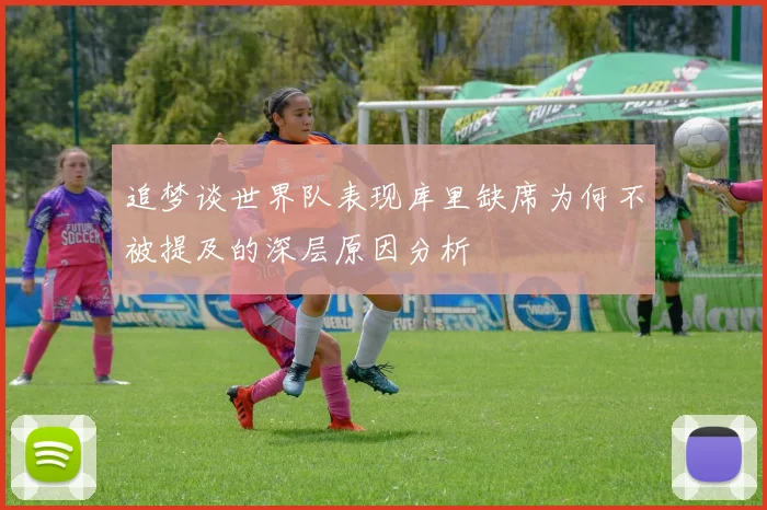 追梦谈世界队表现库里缺席为何不被提及的深层原因分析