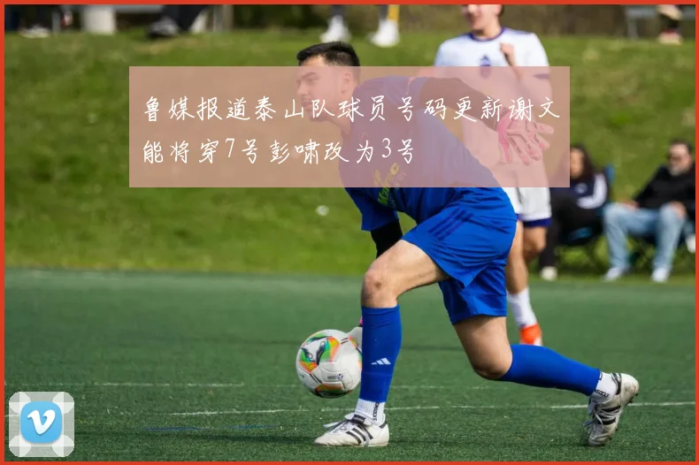 鲁媒报道泰山队球员号码更新谢文能将穿7号彭啸改为3号