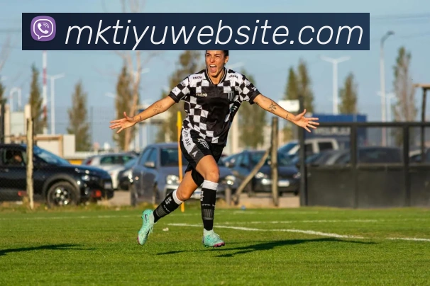 MK体育平台生态图